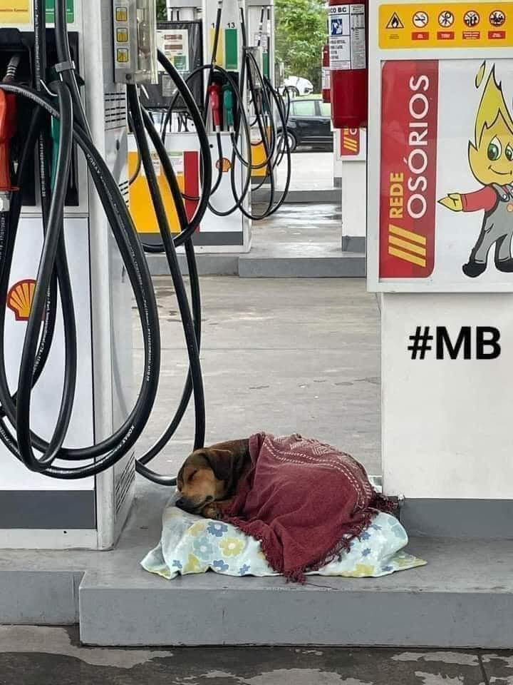 Khi 'boss' đích thân giúp 'sen' trông hàng quán và cái kết không nhịn được cười - 5