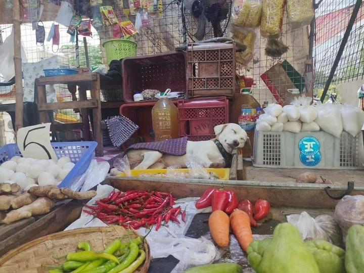 Khi 'boss' đích thân giúp 'sen' trông hàng quán và cái kết không nhịn được cười - 4