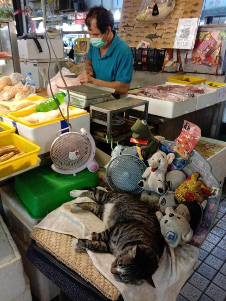 Khi 'boss' đích thân giúp 'sen' trông hàng quán và cái kết không nhịn được cười - 10