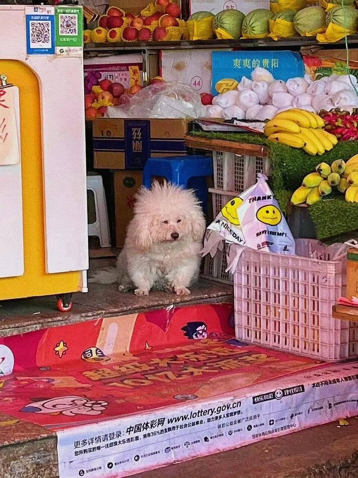 Khi 'boss' đích thân giúp 'sen' trông hàng quán và cái kết không nhịn được cười - 6