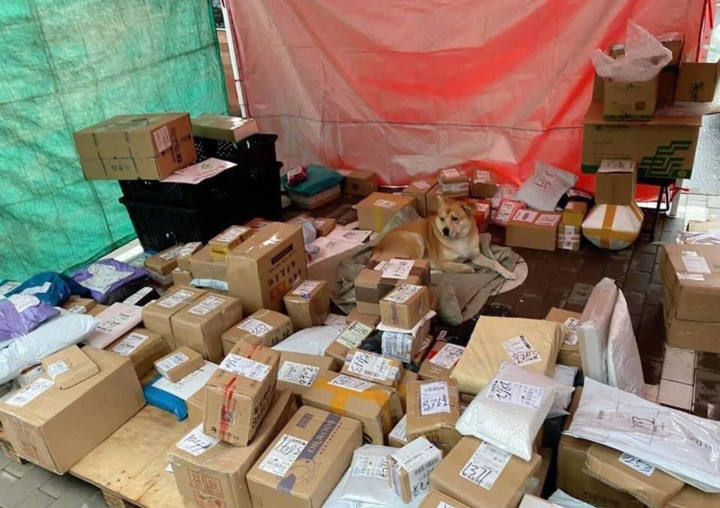 Khi 'boss' đích thân giúp 'sen' trông hàng quán và cái kết không nhịn được cười - 2