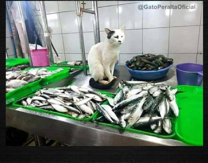 Khi 'boss' đích thân giúp 'sen' trông hàng quán và cái kết không nhịn được cười - 7