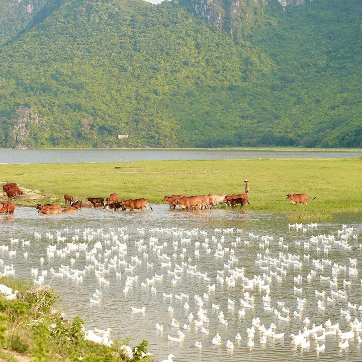 Tìm về bình yên với chốn non nước hoang sơ kỳ vĩ cách trung tâm Hà Nội không xa - 4