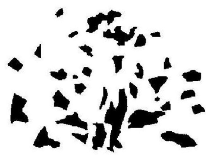 Bài trắc nghiệm nổi tiếng đánh giá mức độ mệt mỏi của bạn - 6