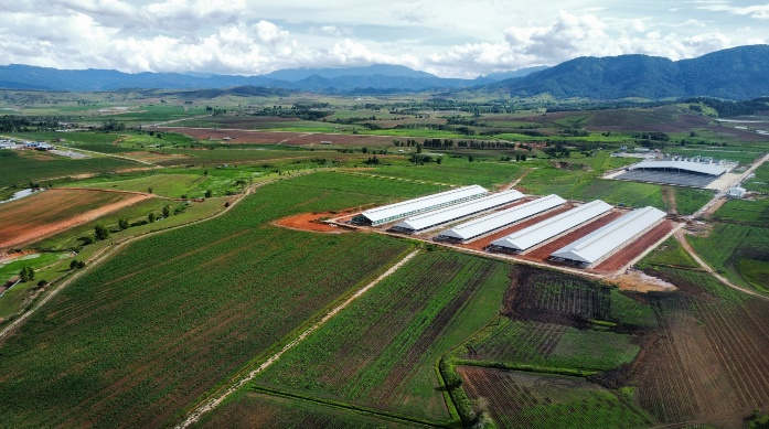 Vinamilk nhập 1.000 bò sữa HF từ Mỹ về tổ hợp trang trại Lào - 6