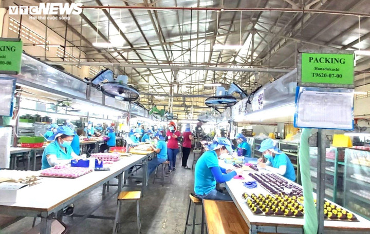 Doanh nghiệp lại than khó vì các cuộc thanh tra, kiểm tra không cần thiết - 1