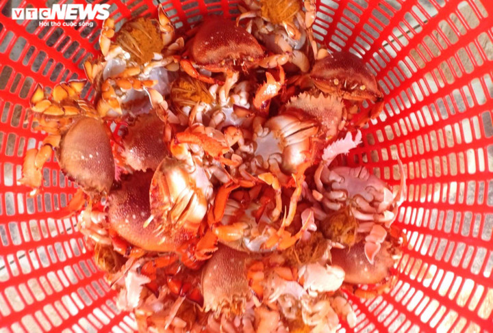 Đến Lý Sơn, đã mắt cảnh đẹp và đã… miệng hải sản ít nơi sánh kịp - 3