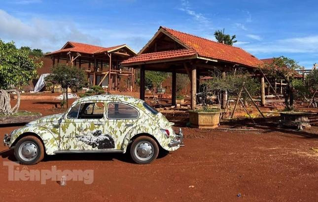 Xe cổ Volkswagen Beetle biển số sảnh tiến ở Đà Lạt - 3