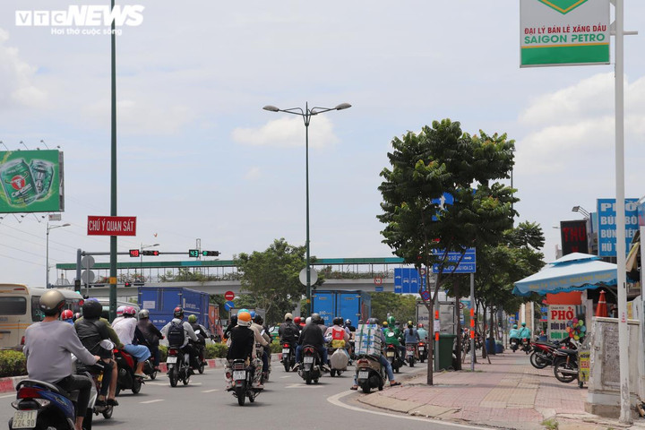 Không hỏng cũng 'núp' lùm cây, nhiều biển báo ở TP.HCM đánh đố người đi đường - 3