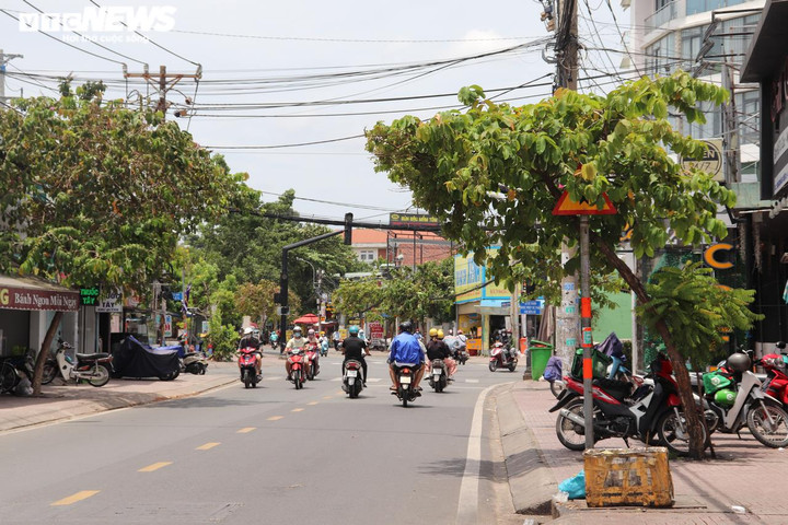Không hỏng cũng 'núp' lùm cây, nhiều biển báo ở TP.HCM đánh đố người đi đường - 4