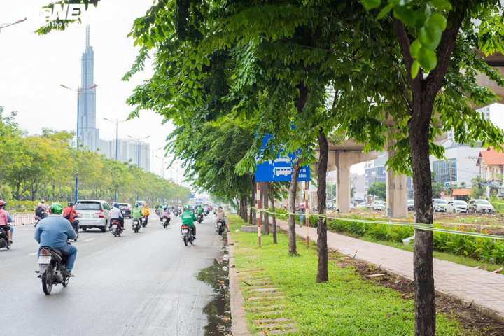 Không hỏng cũng 'núp' lùm cây, nhiều biển báo ở TP.HCM đánh đố người đi đường - 5