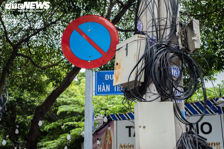 Không hỏng cũng 'núp' lùm cây, nhiều biển báo ở TP.HCM đánh đố người đi đường - 7