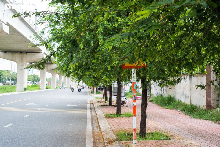 Không hỏng cũng 'núp' lùm cây, nhiều biển báo ở TP.HCM đánh đố người đi đường - 6