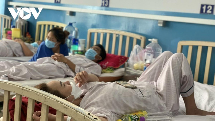 TP.HCM lên kịch bản thu dung 6.000 ca bệnh sốt xuất huyết - 1