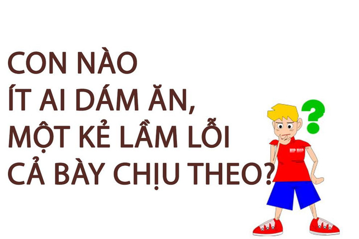 Con nào ít ai dám ăn, một kẻ lầm lỗi cả bày chịu theo? - 1