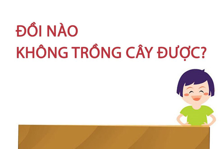 Đồi nào không trồng cây được? - 1