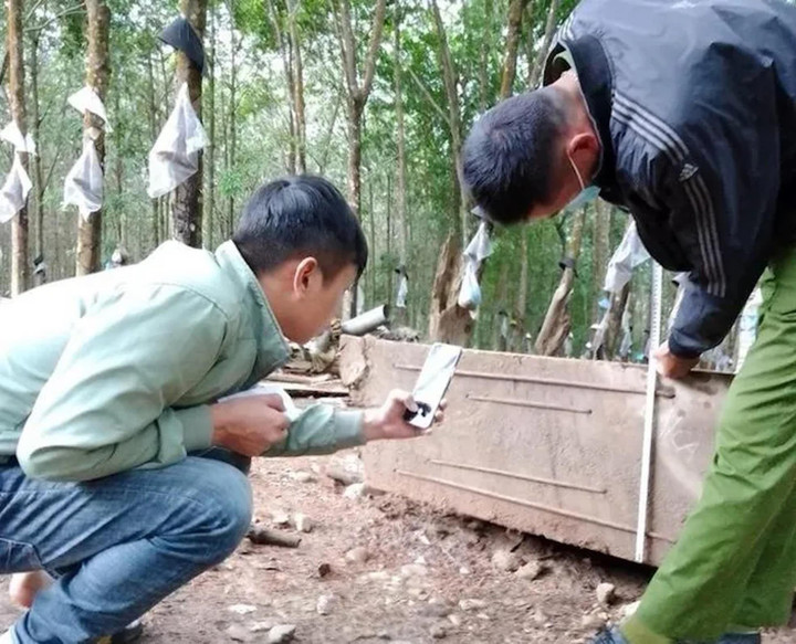 Đào được khúc gỗ lạ dưới lòng đất, người đàn ông ở Kon Tum bị phạt 4 triệu đồng - 1