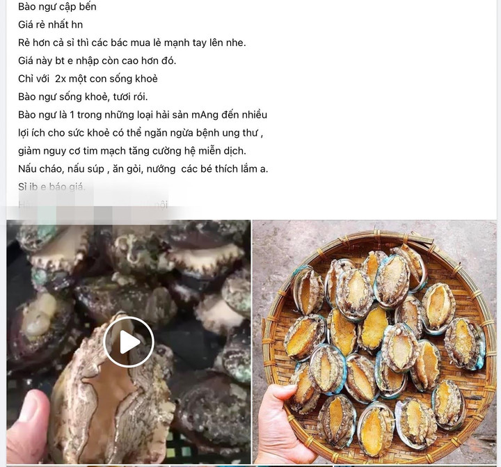 Sự thật về bào ngư Hàn Quốc giá rẻ tràn ngập chợ mạng - 1