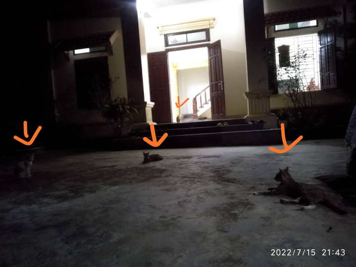 Anh chàng đột ngột bỏ chạy ngay khi đến nhà bạn gái, biết lí do càng bất ngờ hơn - 1