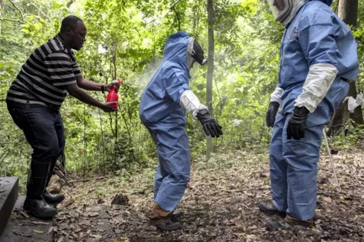 Mức độ nguy hiểm của loại virus chưa có vaccine, tỷ lệ tử vong cao - 1