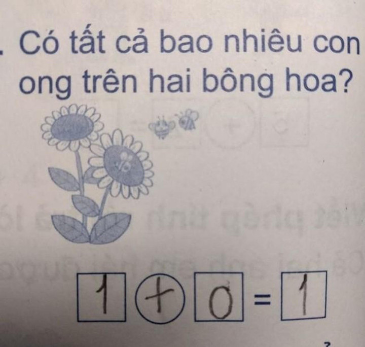 Học sinh đặt phép tính 1+0=1, tưởng 'rõ như ban ngày' nhưng vẫn gây tranh cãi - 1