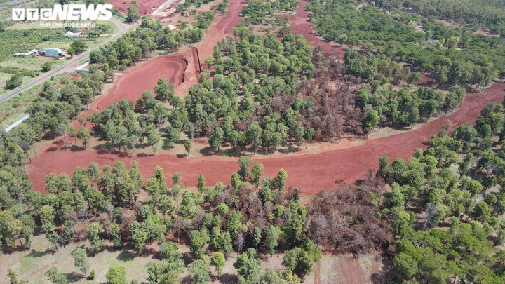 Dự án khiến nhiều lãnh đạo tỉnh Gia Lai bị xem xét kỷ luật giờ ra sao? - 4