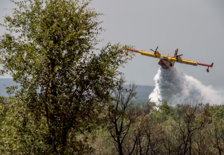 Ảnh: Nắng nóng như 'địa ngục' thiêu đốt châu Âu - 3