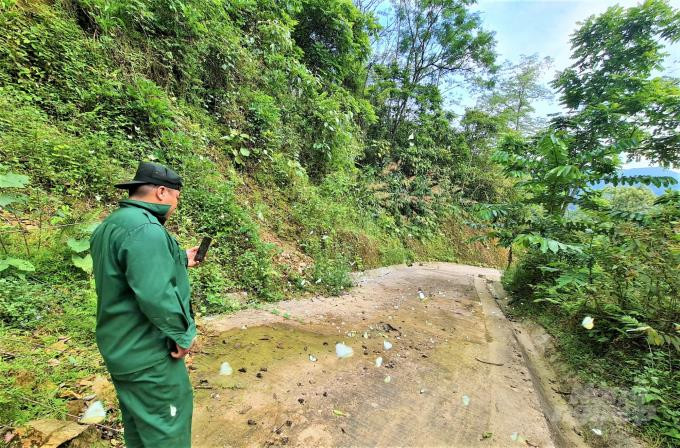 Giữ rừng như ‘người rừng’ - 3