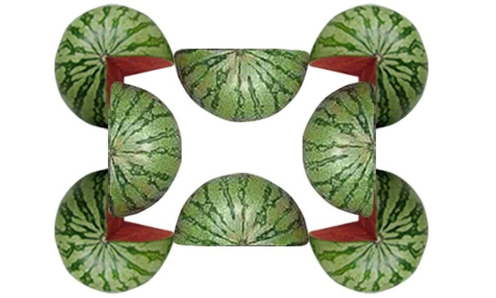 Có tất cả bao nhiêu quả dưa hấu trong bức ảnh? - 1