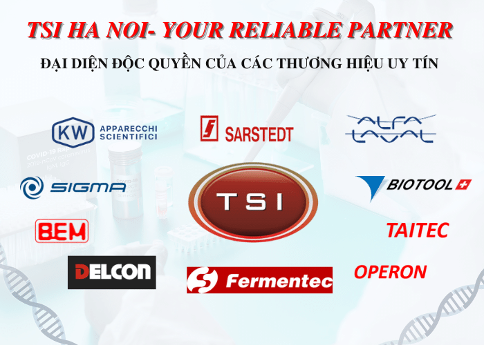 TSI Hà Nội công bố hợp tác với nhiều đối tác quốc tế - 3