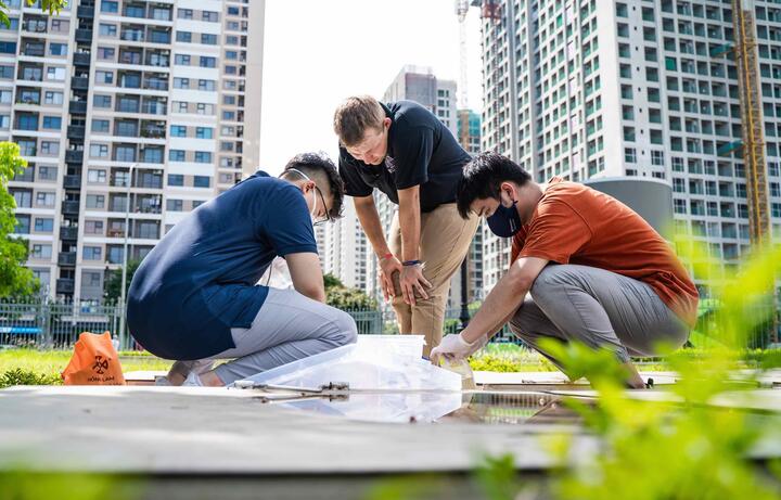 Nghiên cứu ở bậc đại học càng sớm càng tốt, vì sao? - 2