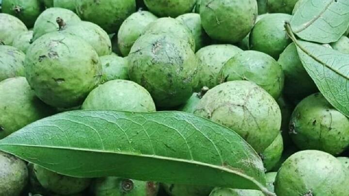 Cách bảo quản sấu cả năm vẫn giữ nguyên hương vị - 1