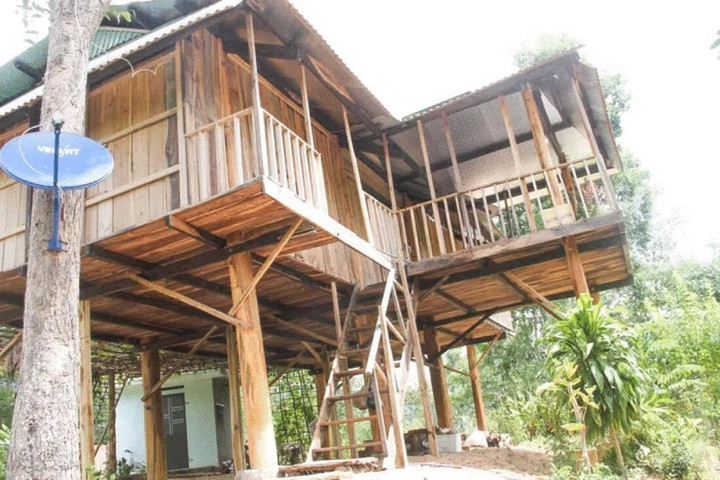 Chủ tịch tỉnh Bình Định: Giao thanh tra toàn bộ vụ lấn chiếm đất ở Vĩnh Thạnh - 1