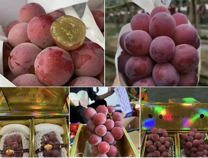 Giật mình nho Ruby Roman đắt nhất thế giới giờ chỉ 350.000/chùm, bán khắp nơi - 1