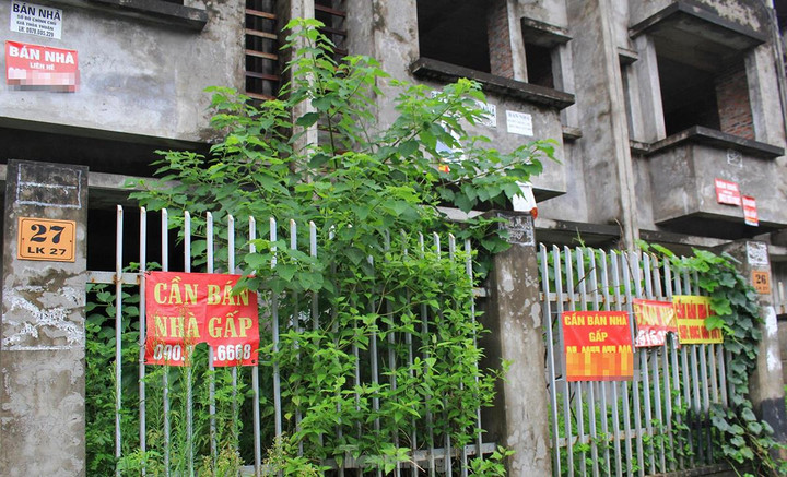 Từng ào ạt lao vào thị trường, 'cò đất' giờ nháo nhác tìm việc mưu sinh - 2