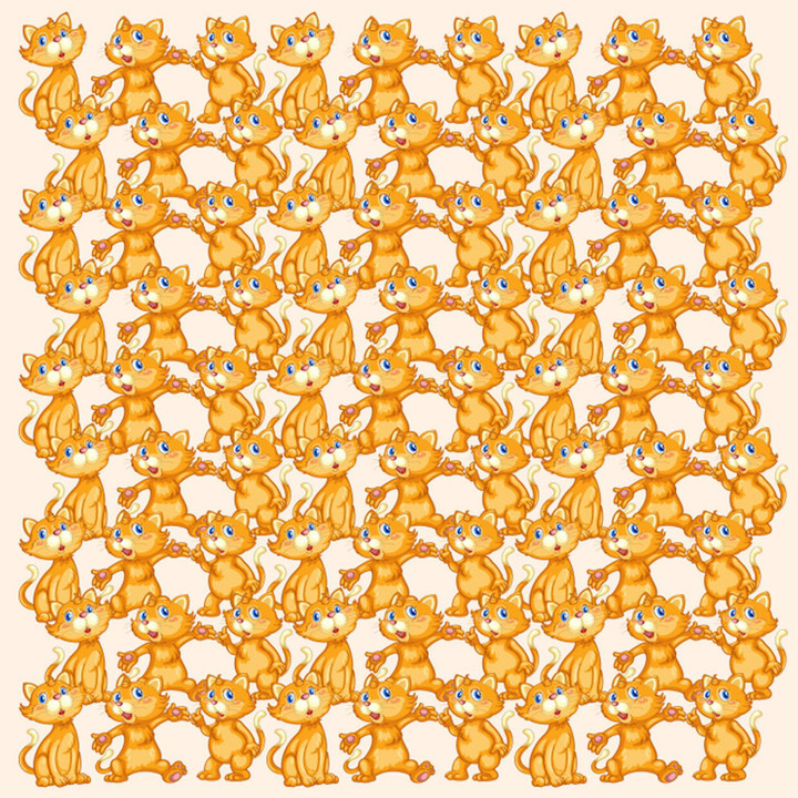 Chỉ người tinh mắt mới tìm ra được điểm khác lạ trong 5 bức ảnh này - 4