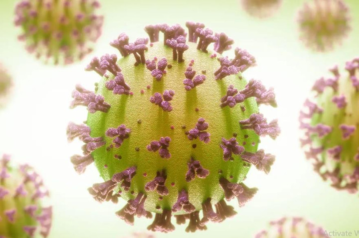 Biến thể phụ BA.2.12.1 vừa xuất hiện ở Việt Nam nguy hiểm thế nào? - 1