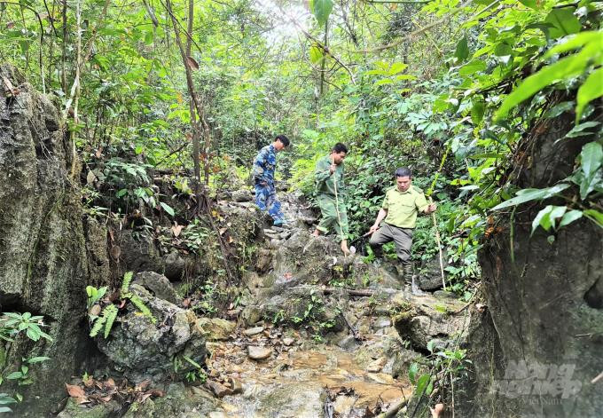 'Người rừng' và giấc mơ kiểm lâm viên dang dở - 2