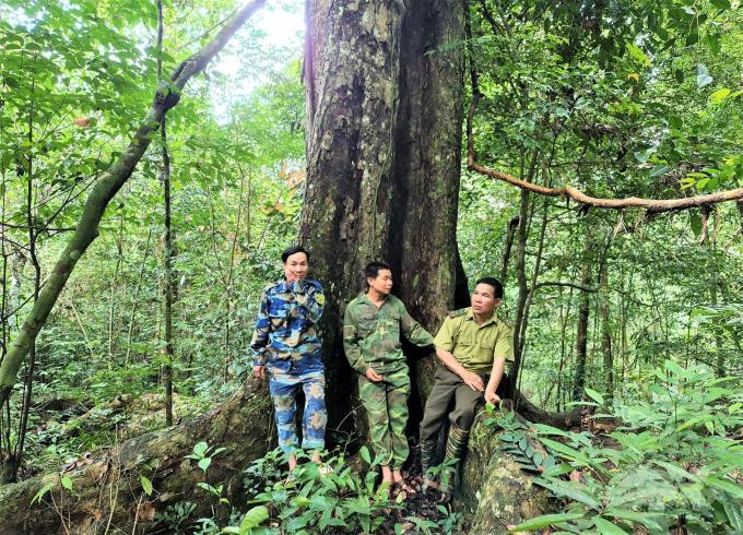 'Người rừng' và giấc mơ kiểm lâm viên dang dở - 4