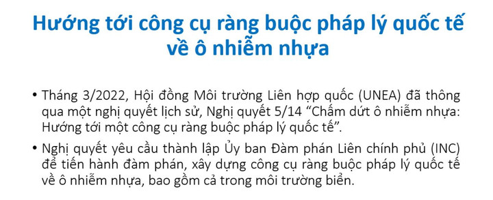 Chính sách giảm ô nhiễm nhựa trong môi trường biển, hướng tới pháp lý quốc tế - 5