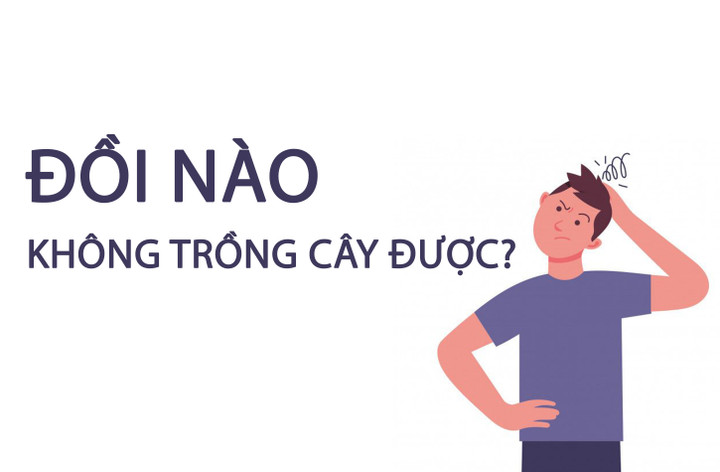 Đồi nào không trồng cây được? - 1