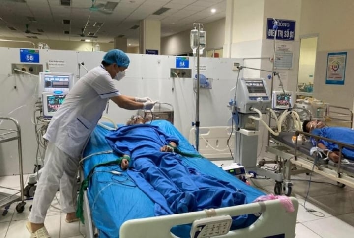 Mật cá có phải 'thần dược' như lời đồn? - 1