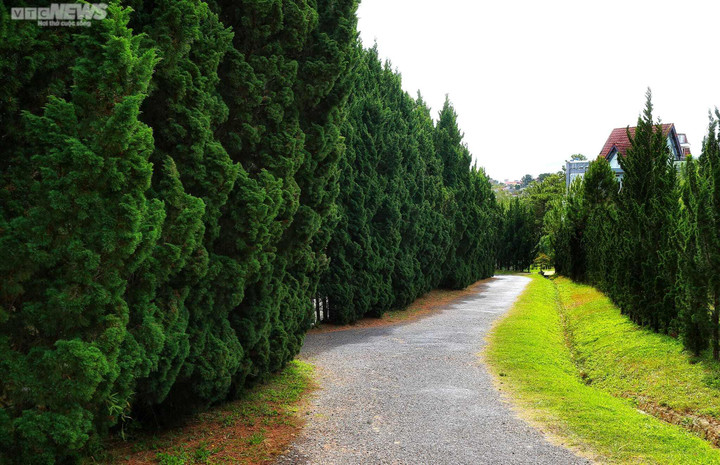 Ảnh: Chủng Viện Minh Hòa, điểm dừng chân mang đậm dấu ấn kiến trúc Tây Nguyên - 10