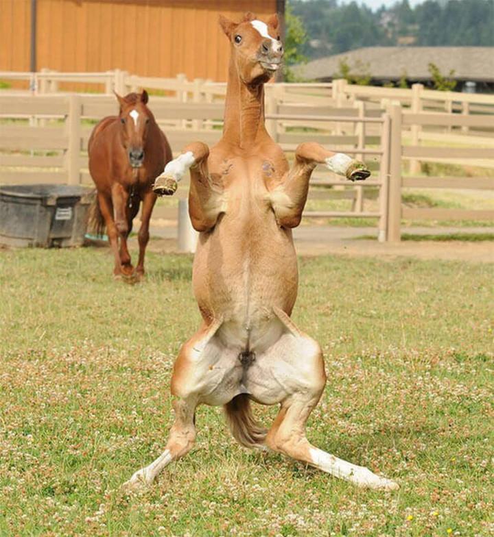 Khoảnh khắc gây hiểu lầm khiến người qua đường phải căng mắt nhìn lại vài lần - 9