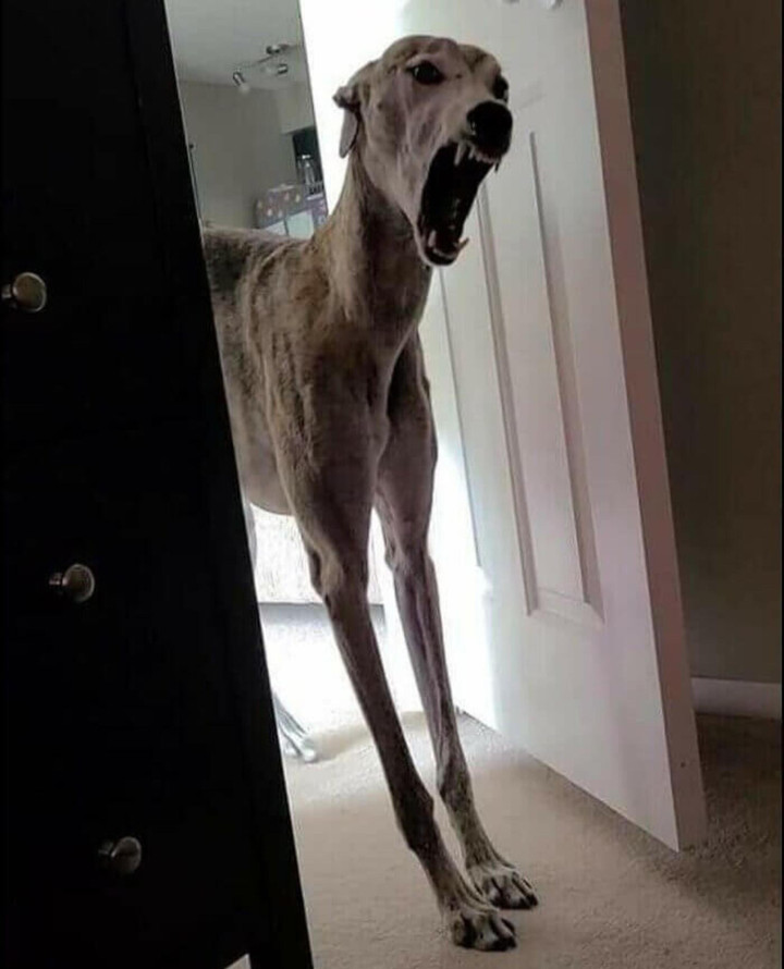 Loạt khoảnh khắc gây ám ảnh cực mạnh vô tình lọt vào ống kính - 5