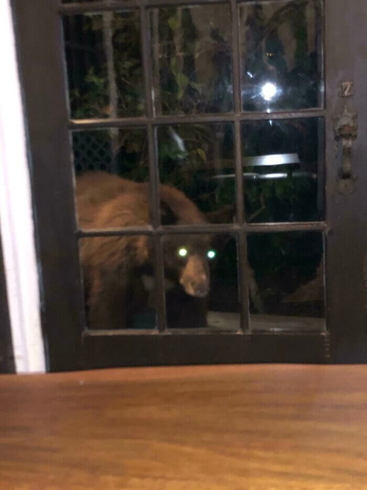 Loạt khoảnh khắc gây ám ảnh cực mạnh vô tình lọt vào ống kính - 3