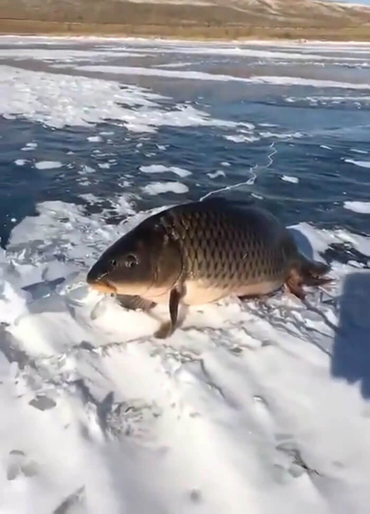 Loạt khoảnh khắc gây ám ảnh cực mạnh vô tình lọt vào ống kính - 8