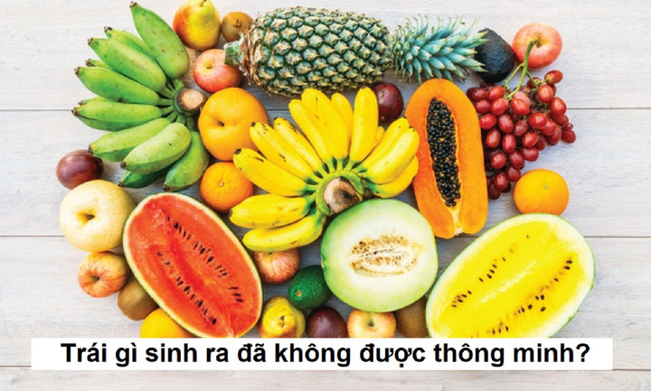 Trái gì sinh ra đã không được thông minh? - 1