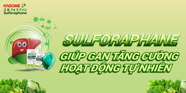 Cơ chế hợp chất sulforaphane đào thải rượu, bia ra khỏi cơ thể - 2