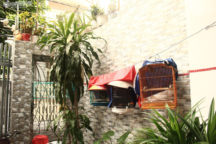 NSƯT Phi Điểu sống bình dị trong ngôi nhà 30 tỷ đồng - 2